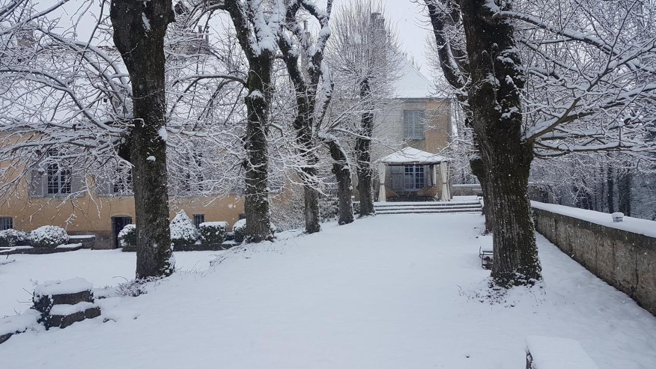 Chateau De Mauvilly Bed & Breakfast エクステリア 写真